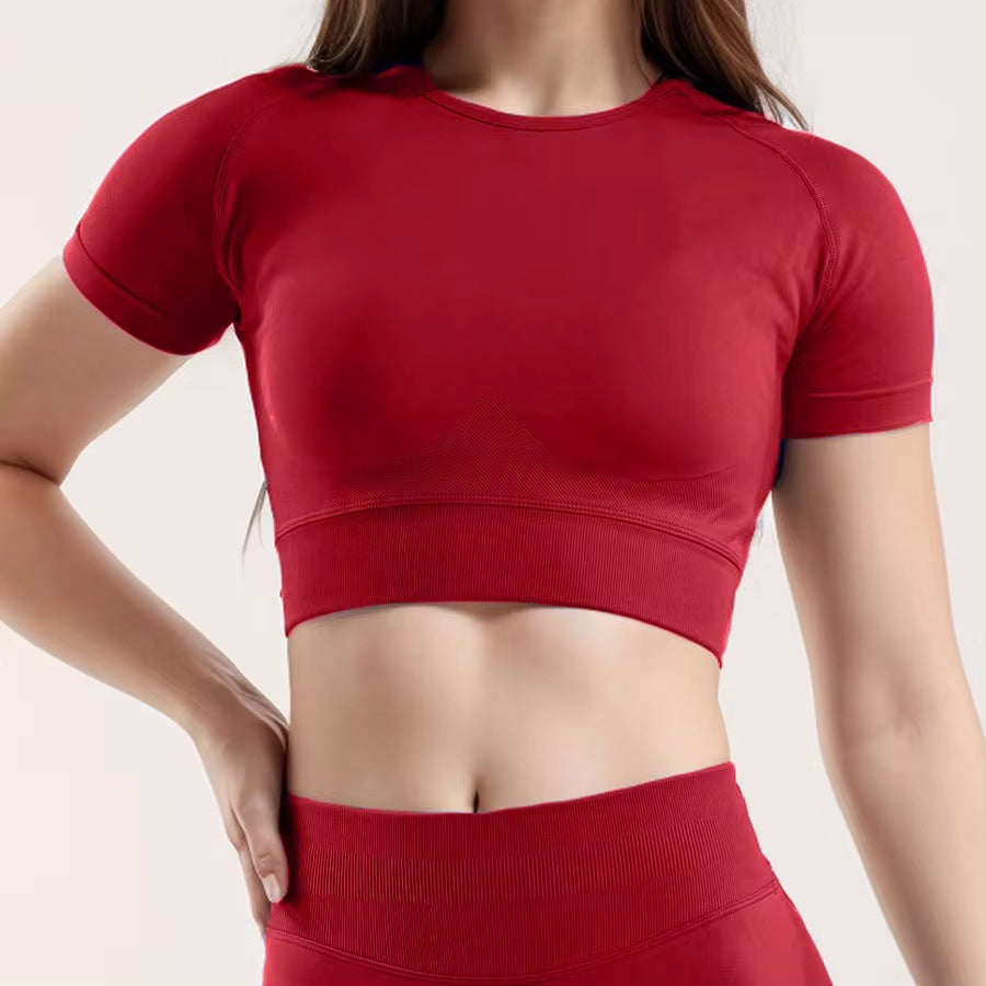 CT Seamless Slim-Fit Short Sleeve Activewear, Form-Fitting Gym Shirt