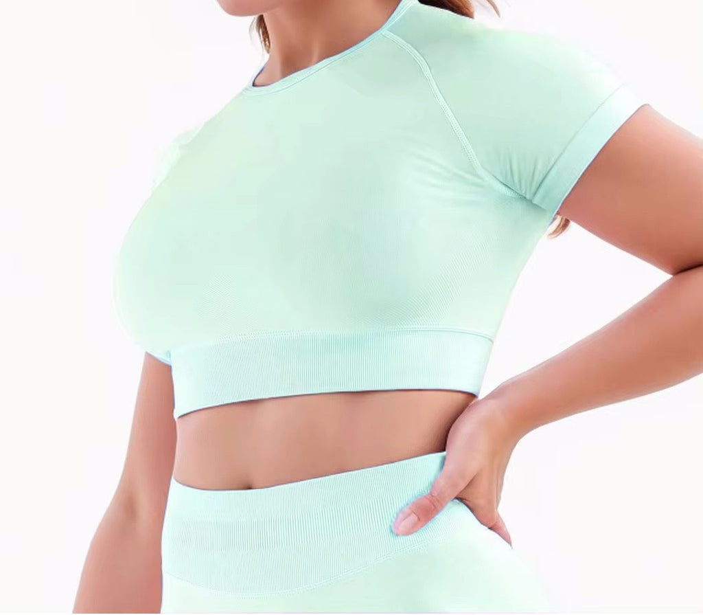 CT Seamless Slim-Fit Short Sleeve Activewear, Form-Fitting Gym Shirt